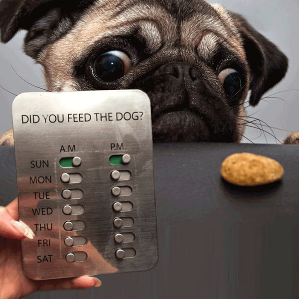Did You Feed The Dog? Pet Feeding Reminder Geeky Gift Ideas