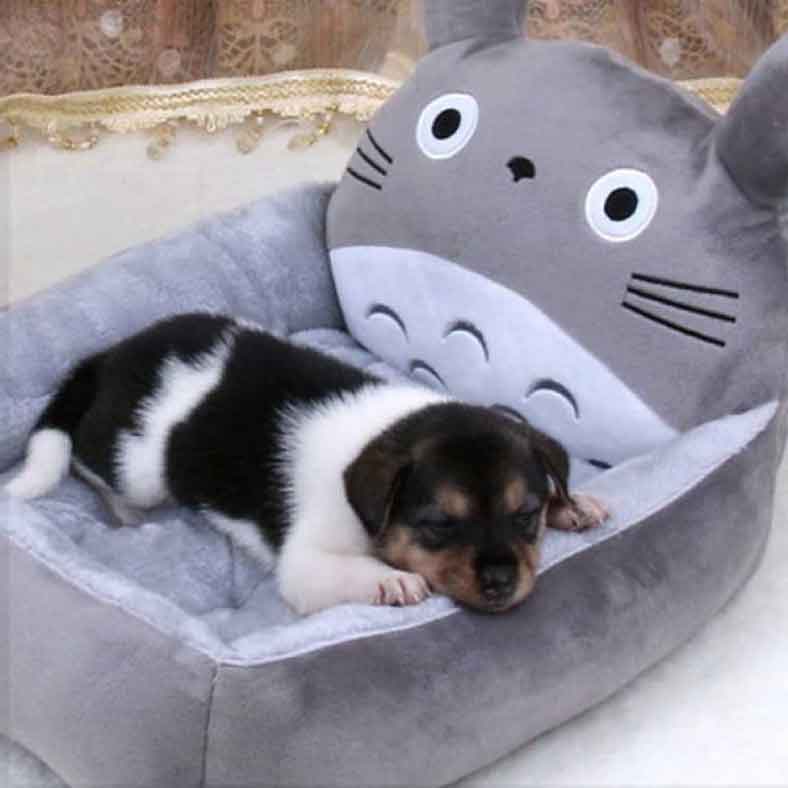 totoro cat bed