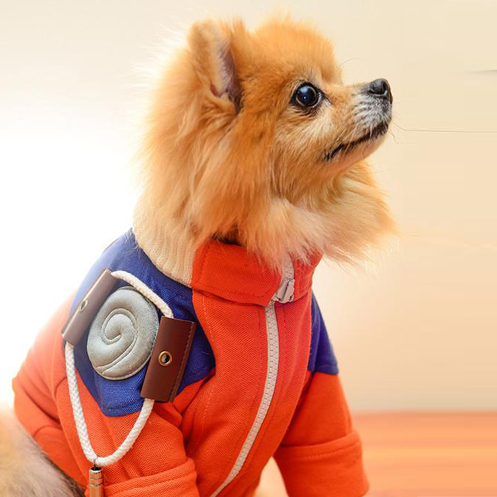Naruto Dog Costume