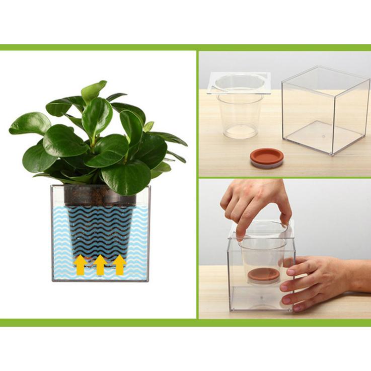 SelfWatering Fish Tank Flowerpot