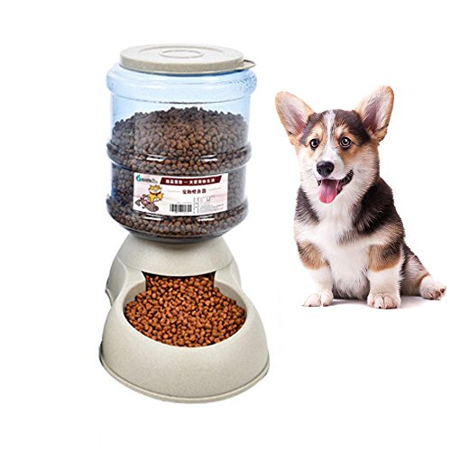 refillable dog bowl