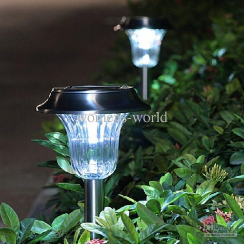 Garden Solar LED Lights