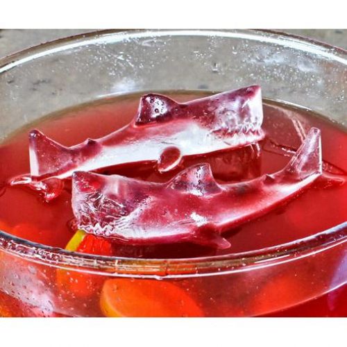 Shark Ice Mold