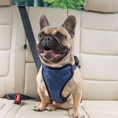 Automobile Dog Safety Harness