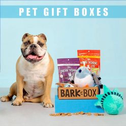 Barkbox Pet Gift Boxes