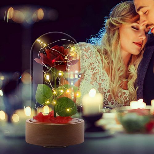 Beauty and The Beast Enchanted Rose