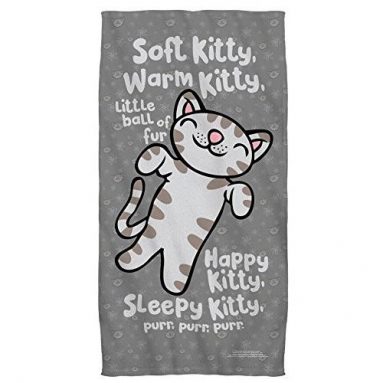 Big Bang Theory Towel