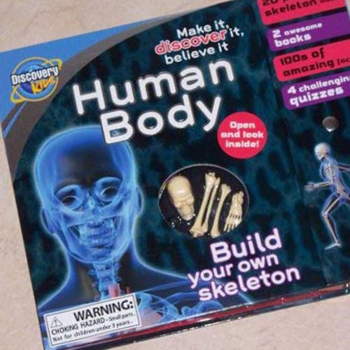 Build Your Own Skeleton Book