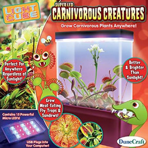 Carnivorous Plants Light Cube