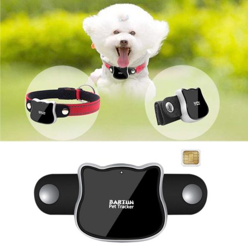 Cat GPS Tracking Collar