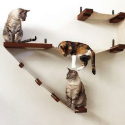 Cat Hammock Wall Activity Center