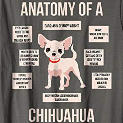 Chihuahua T Shirt
