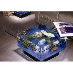 Coffee Table Aquarium