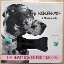 Dog Bowtie Activity Monitor