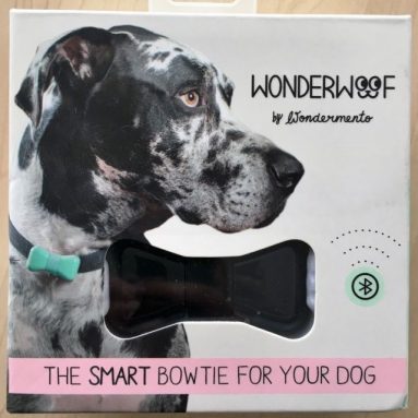 Dog Bowtie Activity Monitor