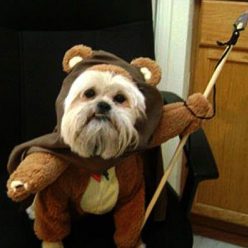 Dog Ewok Costume