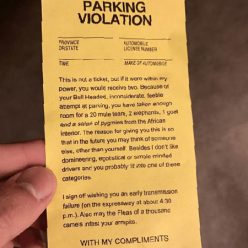 Fake Parking Tickets
