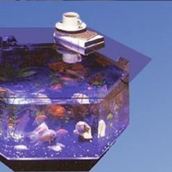 Fish Tank Coffee Table