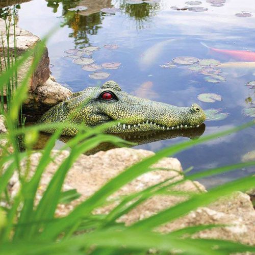 Floating Alligator Head Decoy