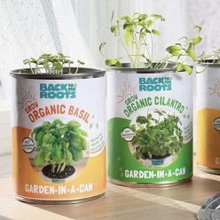 Garden In A Can