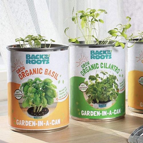 Garden In A Can
