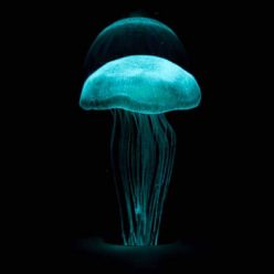 Glow In The Dark Jellyfish Paperweight