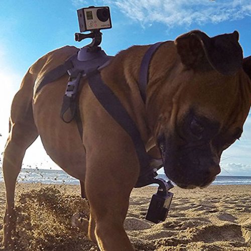GoPro Dog Harness