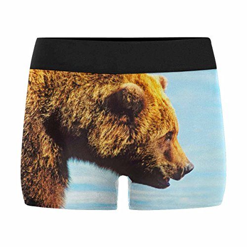 Grizzly Bear Underwear