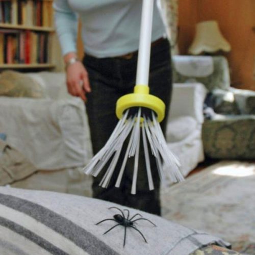 Harm-Free Spider Catcher