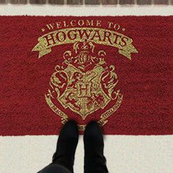 Harry Potter Rug