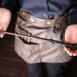 Harry Potter Wand