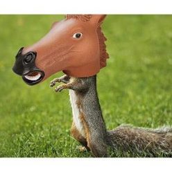 Horse Head Squirrel Feeder