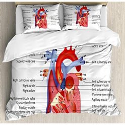 Human Body Anatomy Blanket
