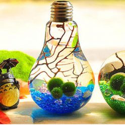 Japanese Light Bulb Aquarium