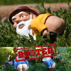 Mooning Garden Gnome