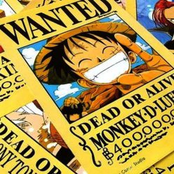 One Piece Wanted Posters