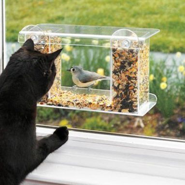 One Way Mirror Bird Feeder