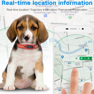 Pet Locator Collar