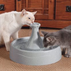 Pet Water Fountain