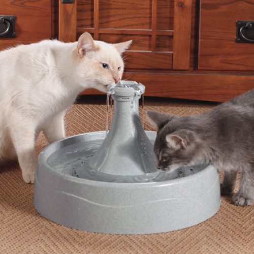 Pet Water Fountain