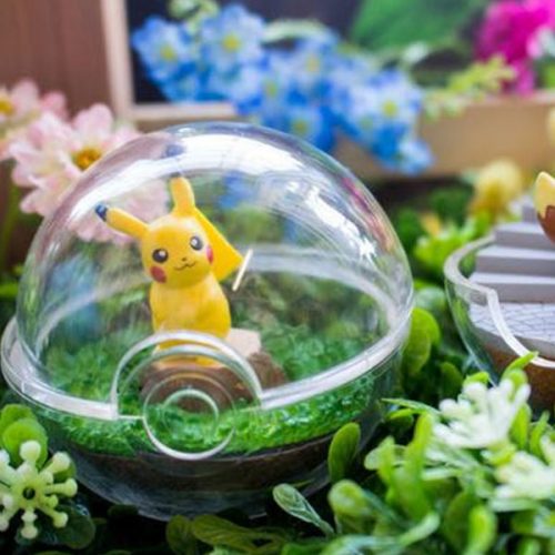Pokemon Pokeball Terrariums