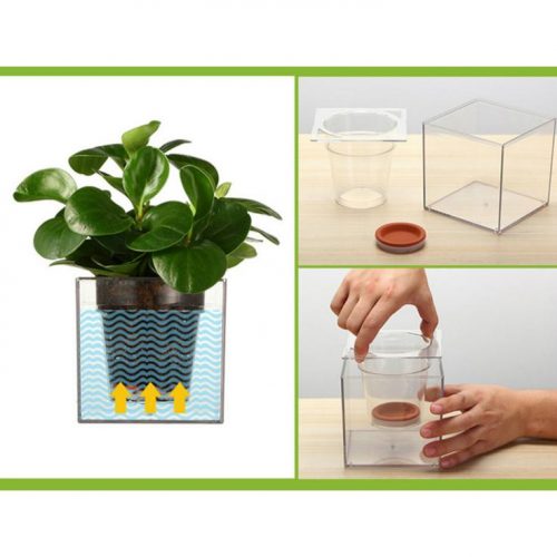Self-Watering Fish Tank Flowerpot