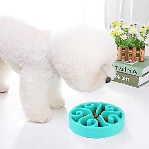 Slow Feed Dog Bowl