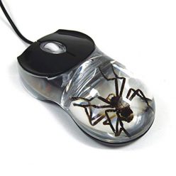 Spider Mouse