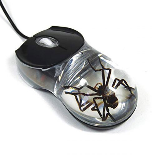 Spider Mouse
