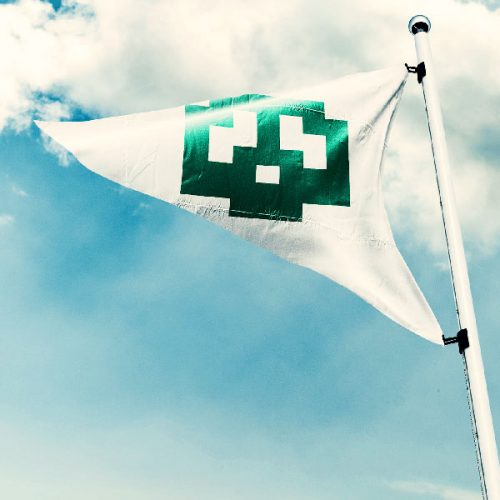 Super Mario Bros Flag