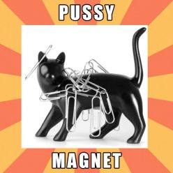 The Pussy Magnet
