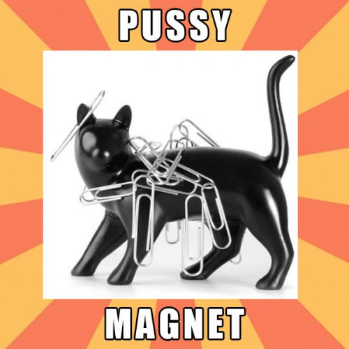 The Pussy Magnet