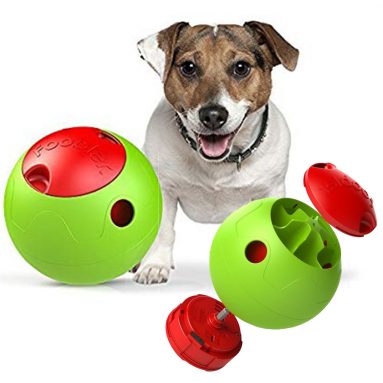 Timed Puzzle Feeder For Dogs