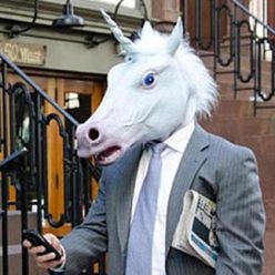 Unicorn Head Mask